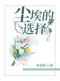 男主女主是赵启明,陆泽,泽奇的小说是什么_尘埃的选择