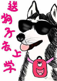 男主女主是杨飞晓,哈士奇,赵云苏的小说是什么_送我狗子去上学