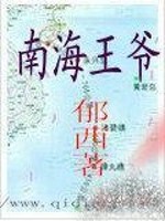 男主女主是赵泗,安南,梅尔基奥的小说是什么_南海王爷