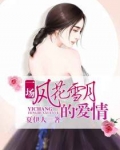 男主女主是叶微,陆宁烨,许泽的小说是什么_一场风花雪月的爱情