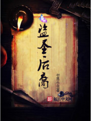 男主女主是刘桐,风蓉,王贲的小说是什么_盗圣后裔