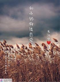 男主女主是徐梓,苏徐坤,赵康的小说是什么_和小奶狗谈恋爱