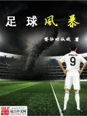 男主女主是陈龙,董浩,切赛纳的小说是什么_足球风暴