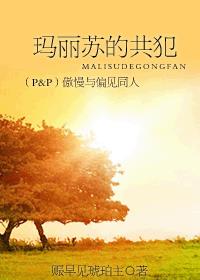 小说《[P&P]玛丽苏的共犯—傲慢与偏见同人》TXT下载_玛丽苏的共犯—傲慢与偏见同人