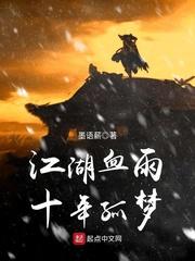 二十年江湖梦小说_江湖血雨十年孤梦