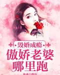 毁婚成瘾：傲娇老婆哪里跑_毁婚成瘾：傲娇老婆哪里跑