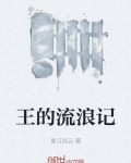 男主女主是杨少川,顾素素,廖汉山的小说是什么_王的流浪记