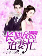 重生蜜恋boss大人追妻忙_重生蜜恋：长腿boss追妻忙