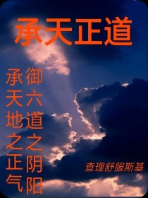 承天地之正气，御六道之阴阳，天地不仁，万物为奴，弱者就像是摇曳的烛火，随时都会被风吹灭！进一步则仙，_承天正道