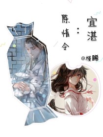 魏宜魏婴《陈情令:宜湛》_陈情令:宜湛