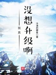 男主女主是周楠,吴天雄,潘雪峰的小说是什么_我真没想升级啊