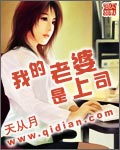 男主女主是杨小吉,唐娜,杨敏儿的小说是什么_我的老婆是上司
