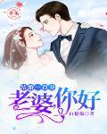 叶美琪萧若羽《结婚一百分：老婆，你好》_结婚一百分：老婆，你好