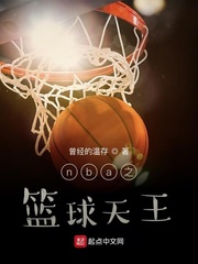 篮球nba王毅免费阅读_nba之篮球天王