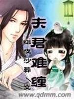 白咏秋沈承砚《夫君难缠》_夫君难缠