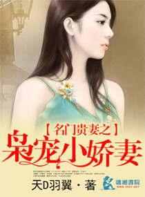 男主女主是黎家钦,杨君洛,钦钦的小说是什么_名门贵妻之枭宠小娇妻