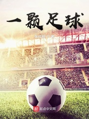 小说《一颗足球》TXT百度云_一颗足球