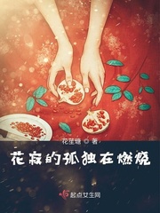 男主女主是岑琳,苏娅,袁萍清的小说是什么_花寂的孤独在燃烧