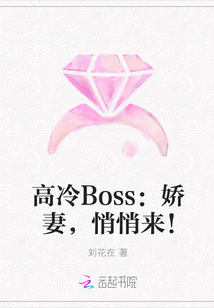小说《高冷Boss：娇妻，悄悄来！》TXT下载_高冷Boss：娇妻，悄悄来！