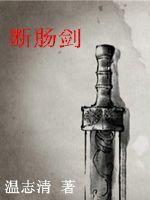 男主女主是梁少辉,王素安,张小琴的小说是什么_断肠剑