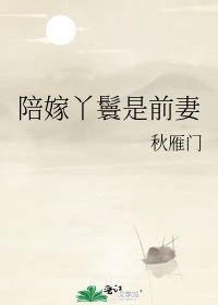 小说《陪嫁丫鬟是前妻》TXT百度云_陪嫁丫鬟是前妻