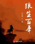 男主女主是杨九郎,郑灵,寇准的小说是什么_狼生百年