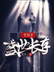 小说《TNT：盛世长存》TXT百度云_TNT：盛世长存