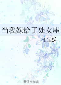 小说《当我嫁给了处女座》TXT百度云_当我嫁给了处女座