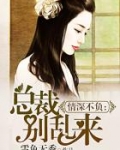 男主女主是金信哲,夏惠妍,张家铭的小说是什么_情深不负：总裁别乱来