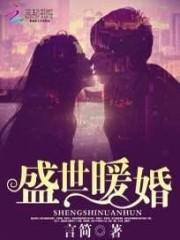 小说《盛世暖婚》TXT下载_盛世暖婚