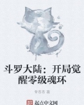 斗罗大陆觉醒枪魂_斗罗大陆：开局觉醒零级魂环