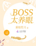 养眼小说txt下载_BOSS太养眼