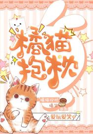男主女主是叶岚,罗启坤,苏瑶的小说是什么_橘猫