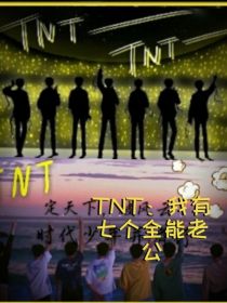小说《TNT：我有七个全能老公》TXT百度云_TNT：我有七个全能老公