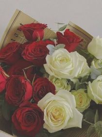 红玫瑰花语：我爱你、热恋，希望与你泛起激情的爱。红玫瑰以妩媚俏皮之红，与爱相配。不动声色，不能言说，_落花——花语馆