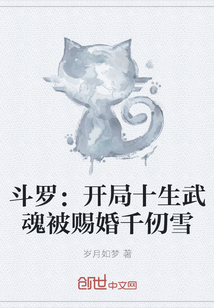 小说《斗罗：开局十生武魂被赐婚千仞雪》TXT下载_斗罗：开局十生武魂被赐婚千仞雪