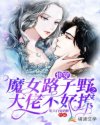 小说《快穿魔女路子野之大佬不好撩》TXT百度云_快穿魔女路子野之大佬不好撩