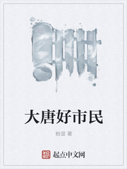 男主女主是张义山,刘玉翠,张义的小说是什么_大唐好市民