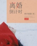 男主女主是蒋文博,凌梦,叶青的小说是什么_离婚倒计时