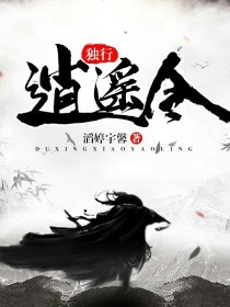 王欣欧阳天明《独行，逍遥令》_独行，逍遥令