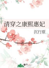 清穿康熙惠妃重生_清穿之康熙惠妃