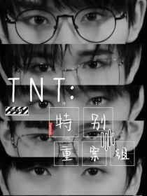小说《TNT：特别重案组》TXT下载_TNT：特别重案组