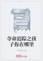 男主女主是佟磊,老孟,金荣的小说是什么_夺命追踪之孩子你在哪里