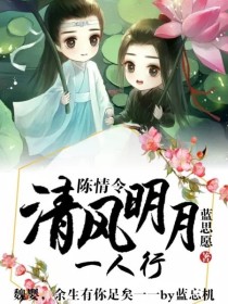 江澄蓝湛《陈情令：清风明月一人行》_陈情令：清风明月一人行