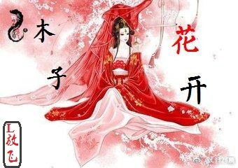 小说《元霸之木子花开》TXT下载_木子花开