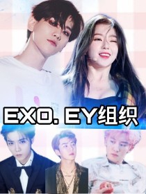 小说《EY组织（EXO）》TXT百度云_EY组织（EXO）
