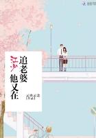 男主女主是江寒霆,刘琦,吴薇薇的小说是什么_江少他又在追老婆