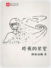 男主女主是莉莉,张成,小冉的小说是什么_昨夜的星空