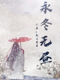 小说《综：永冬无昼》TXT百度云_综：永冬无昼