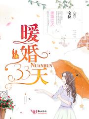 慕衍霆慕睿泽《暖婚33天》_暖婚33天